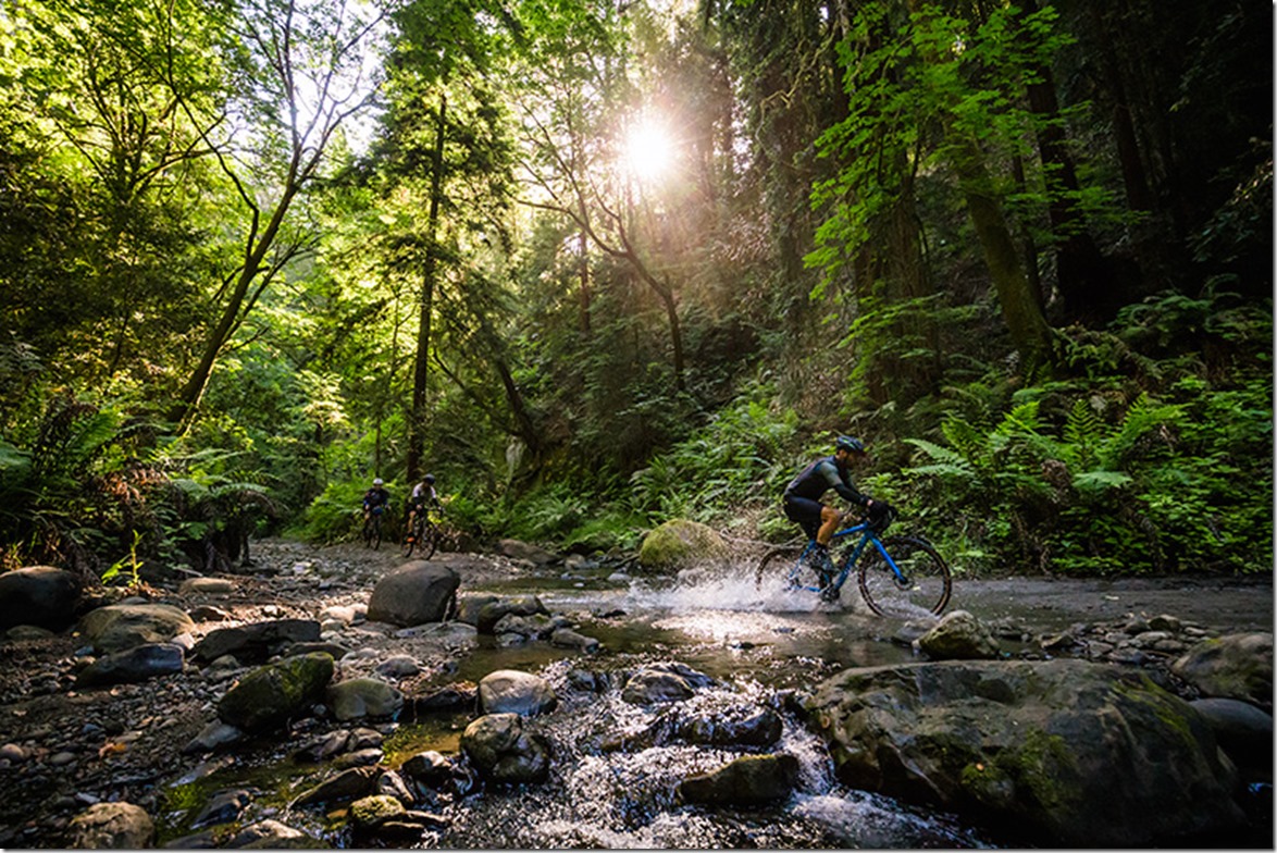 cannondale gravel bike 2019