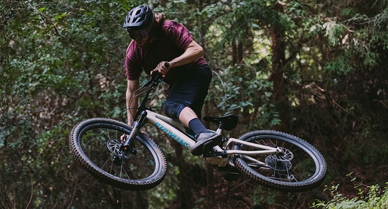 specialized stumpjumper evo 2019