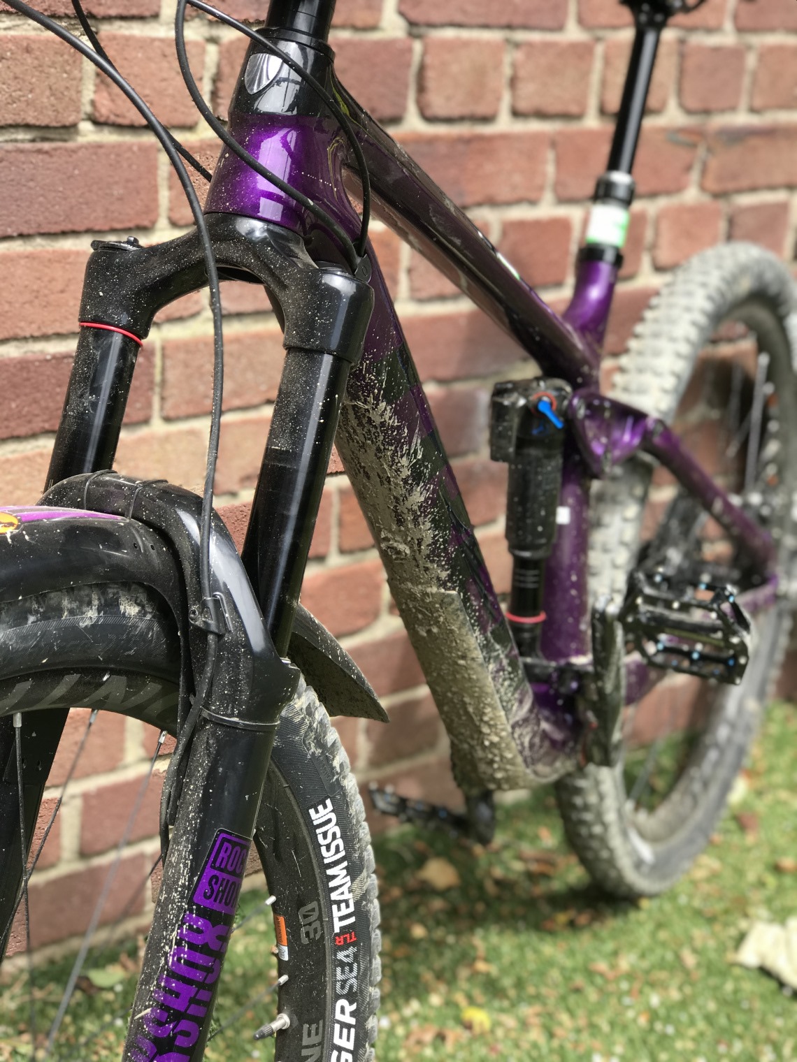 trek remedy purple