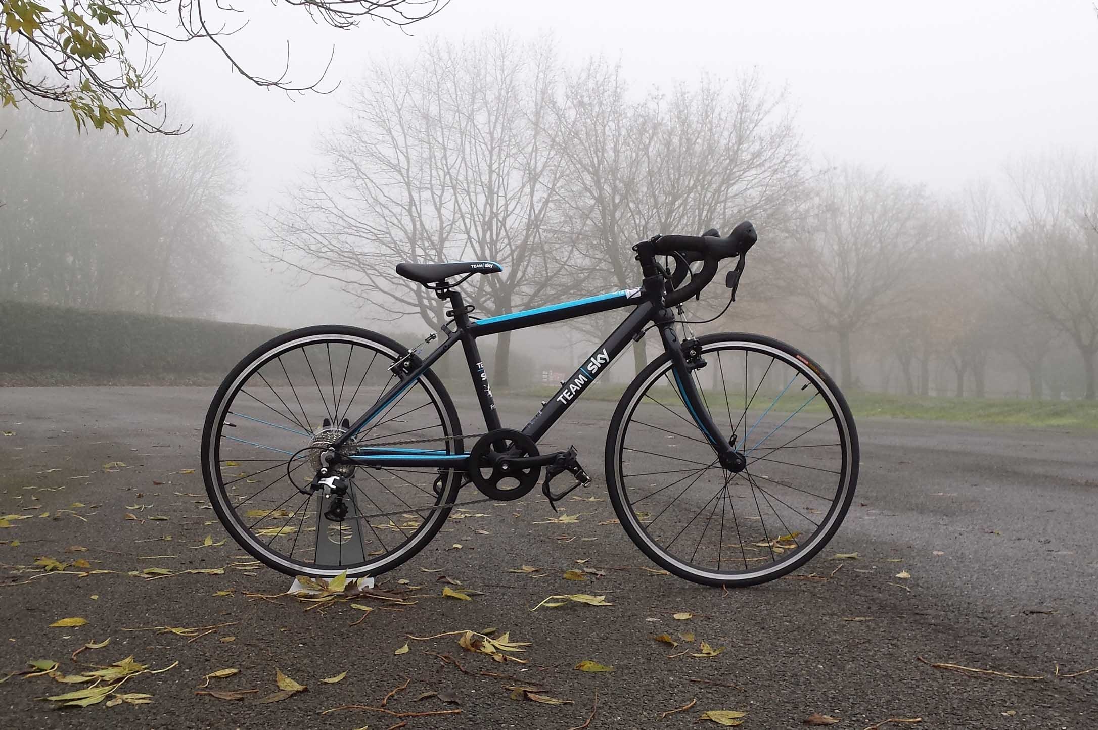 sky frog bike