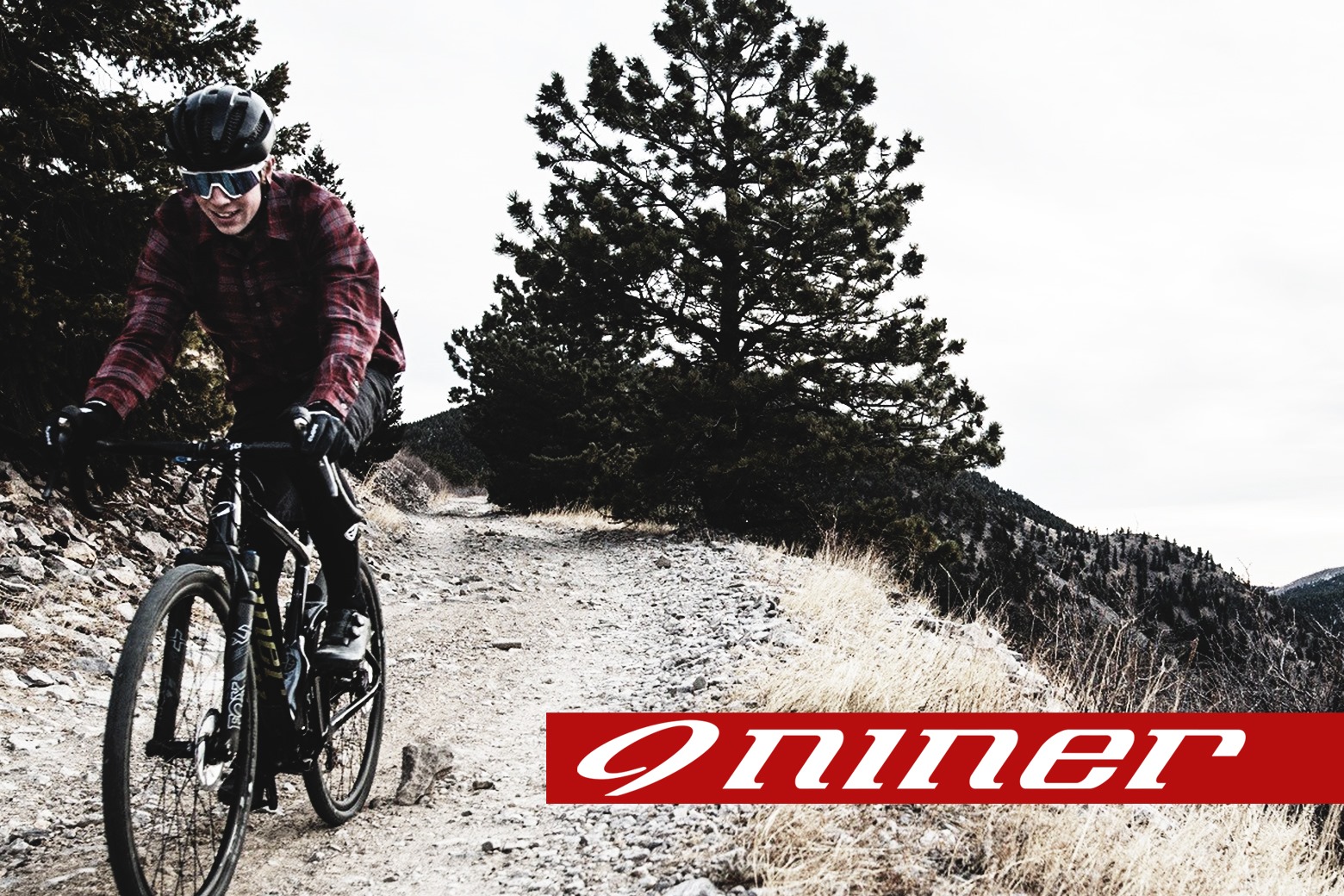 niner bikes online