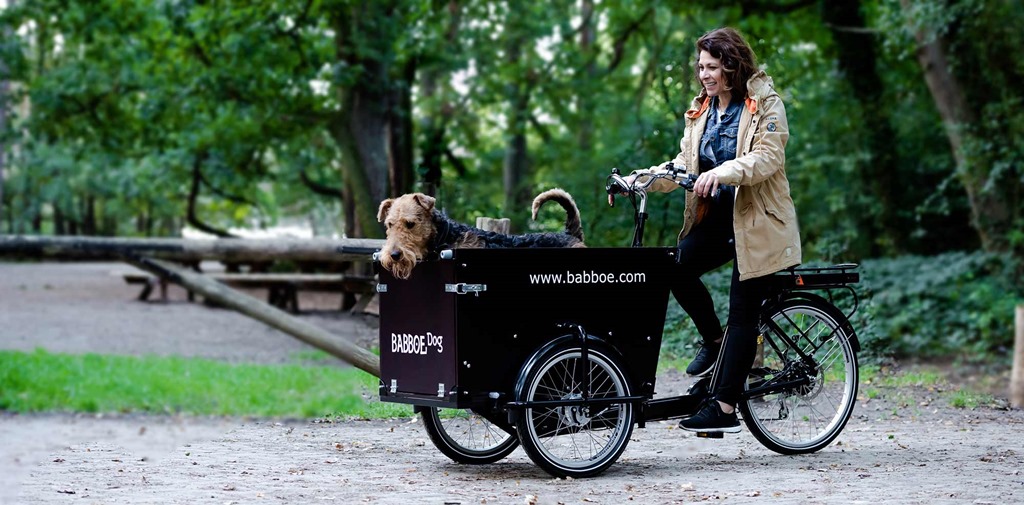 babboe dog electric cargo bike